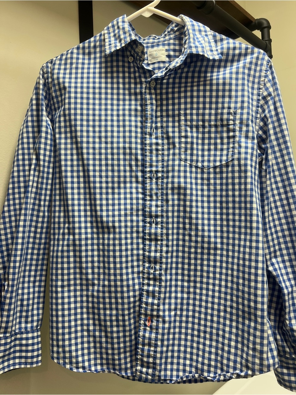Crewcuts Blue and White Gingham Button-Down Shirt